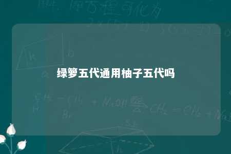 绿箩五代通用柚子五代吗