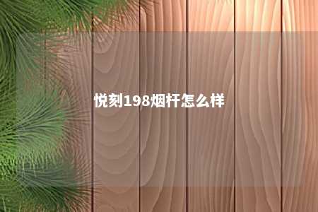 悦刻198烟杆怎么样